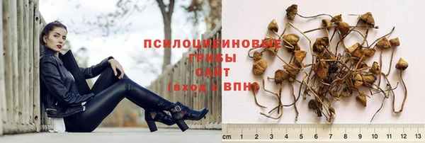 синтетический гашиш Липки